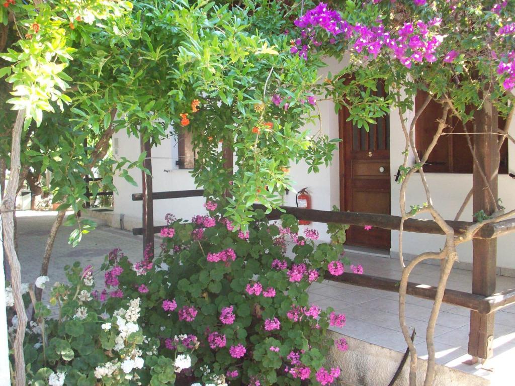 Caviri Apartment Galissas Room photo