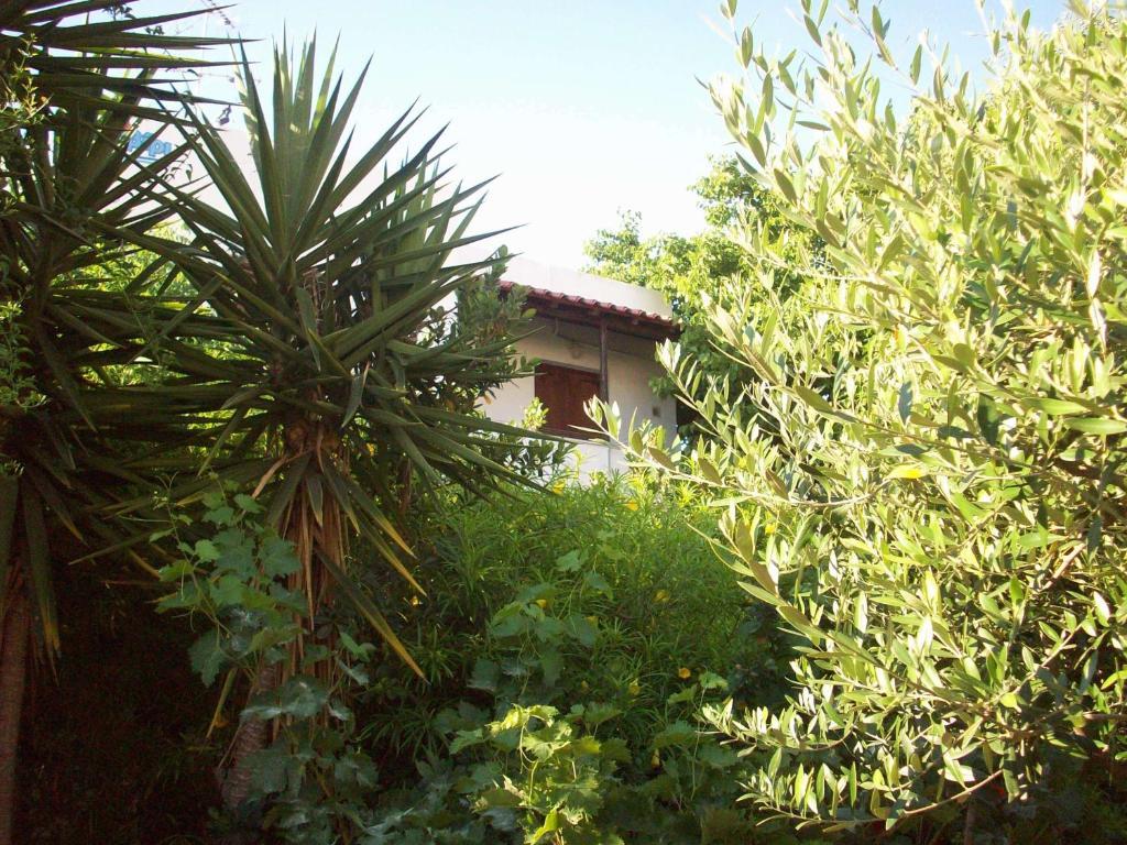 Caviri Apartment Galissas Room photo